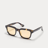 บทความที่ 1 - Avalon - สี Tortoise พร้อมเลนส์โพลาไรซ์สีทอง