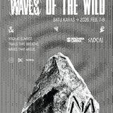 Waves of The Wild
