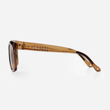 Albaoptics | Anvma V.01 Brown Glossy VZUM Vista