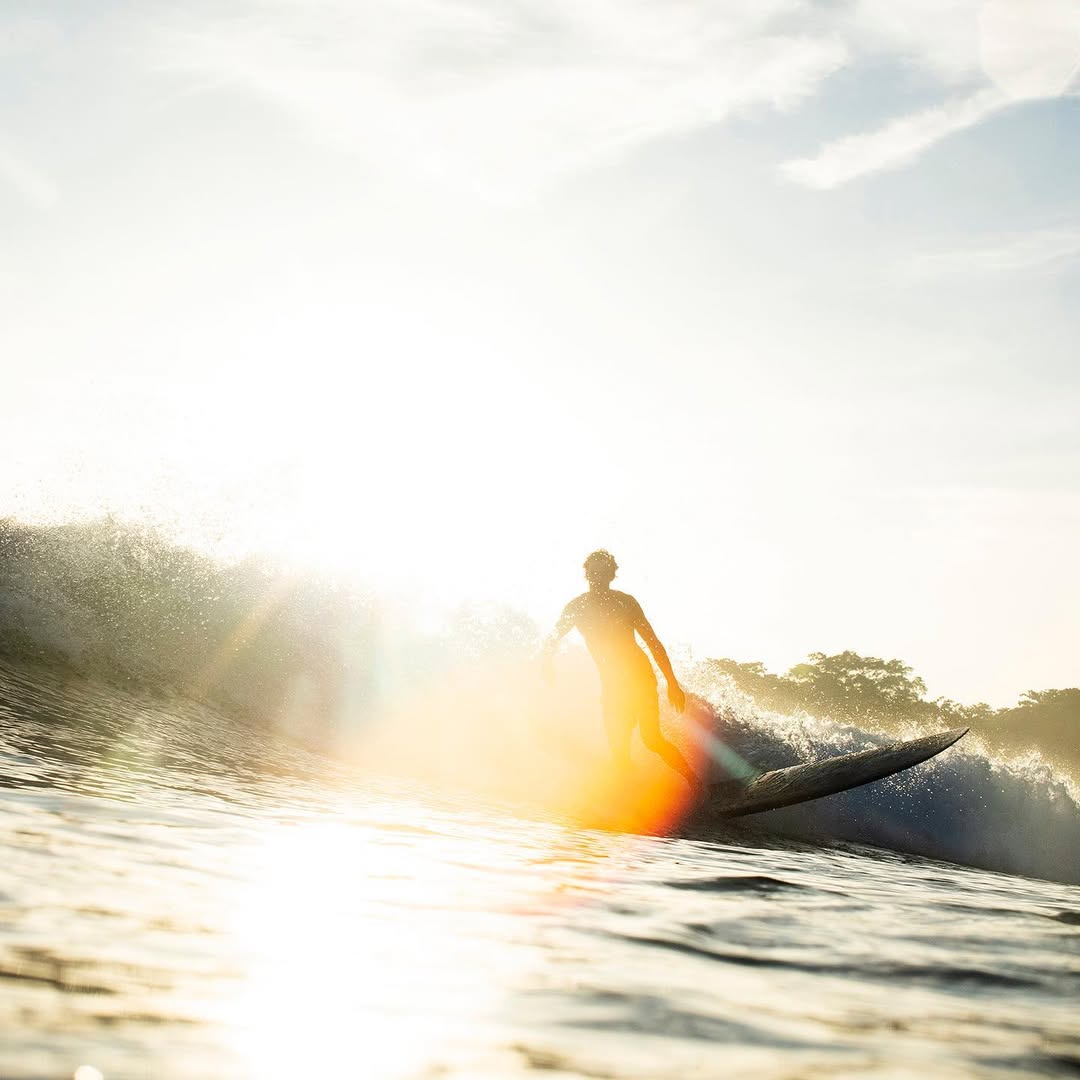 Waves of The Wild